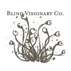Blind Visionary Publications